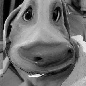 Meet your Posher, Annily